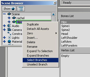 Screenshot of browser and bone list