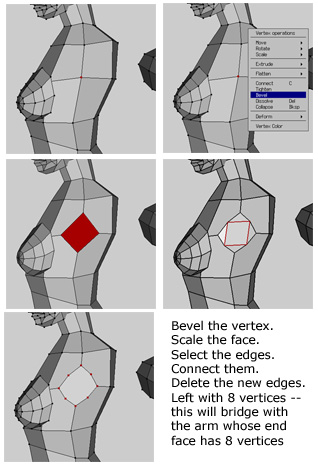Bridge instructions in image say Bevel the Vertex, Scale the face, select the edges, connect them, Delete the new edges, Left with 8 vertices -- this will bridge with the arm whose end face has 8 vertices