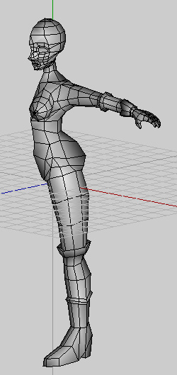 Rough 3d model of the left half of a full body