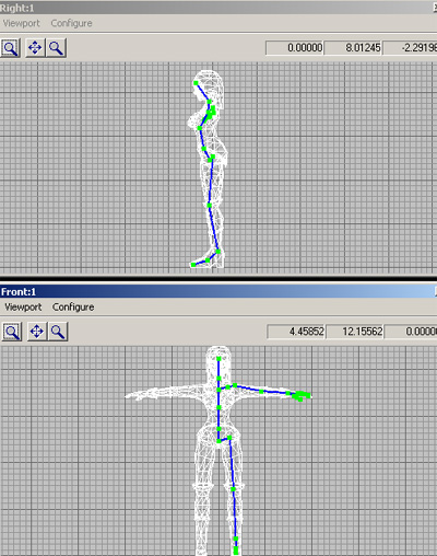 Front and side view of half the skeleton in the 3d character