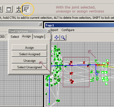 Assign Tab in Tool Options window