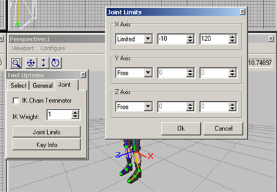 Joint limits tool